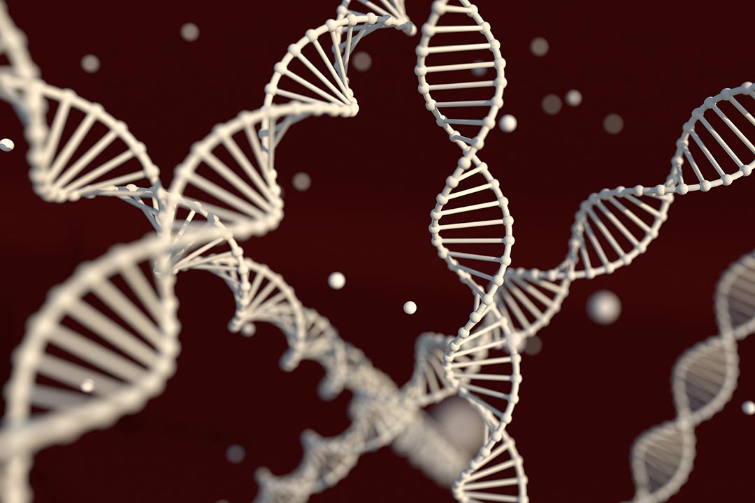 DNA chain on a dark background – 3D render