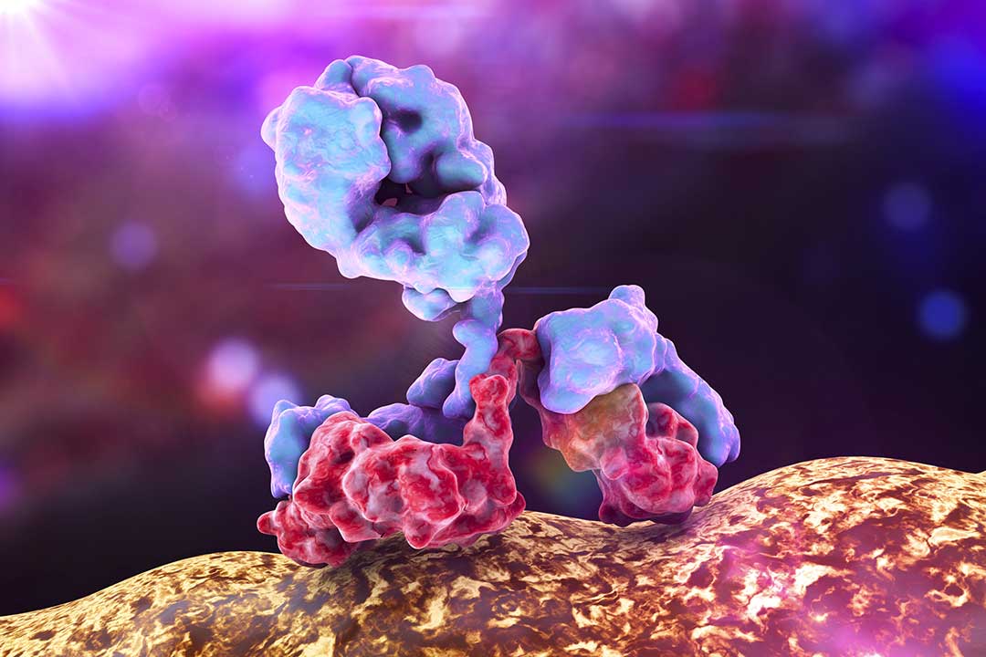 Sotromivab is a monoclonal antibody that binds to the coronavirus to stop it being infectious.