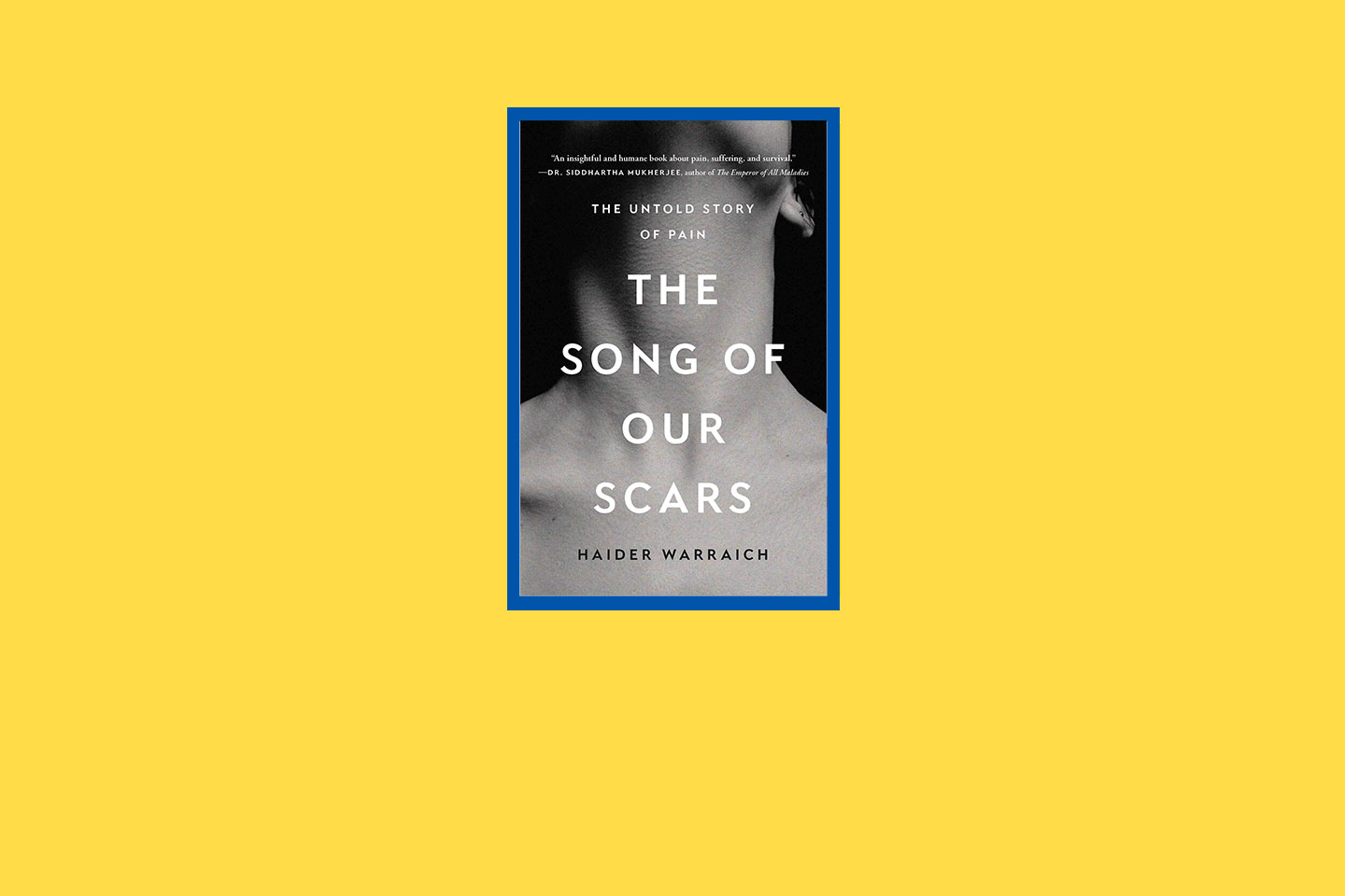 “The Song of Our Scars: The Untold Story of Pain,” by Haider Warraich (Basic Books, 320 pages).