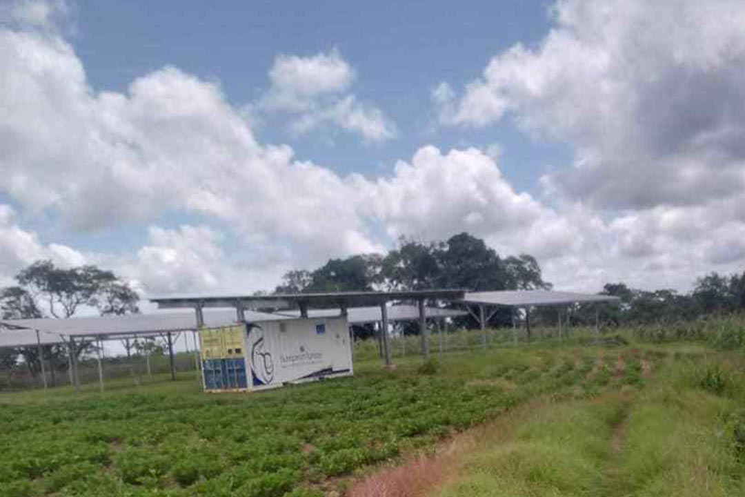 Solar panels in Kaduna, Nigeria. Credit: Afeez Bolaji
