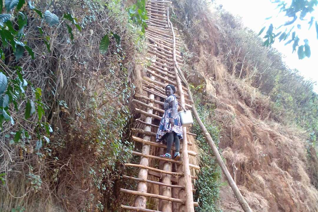 Agnes Namboozo climbing a basic ladder to immunise children in Mashelusi and Manyololo villages near Mount Elgon. Credit: Jack Nasolo