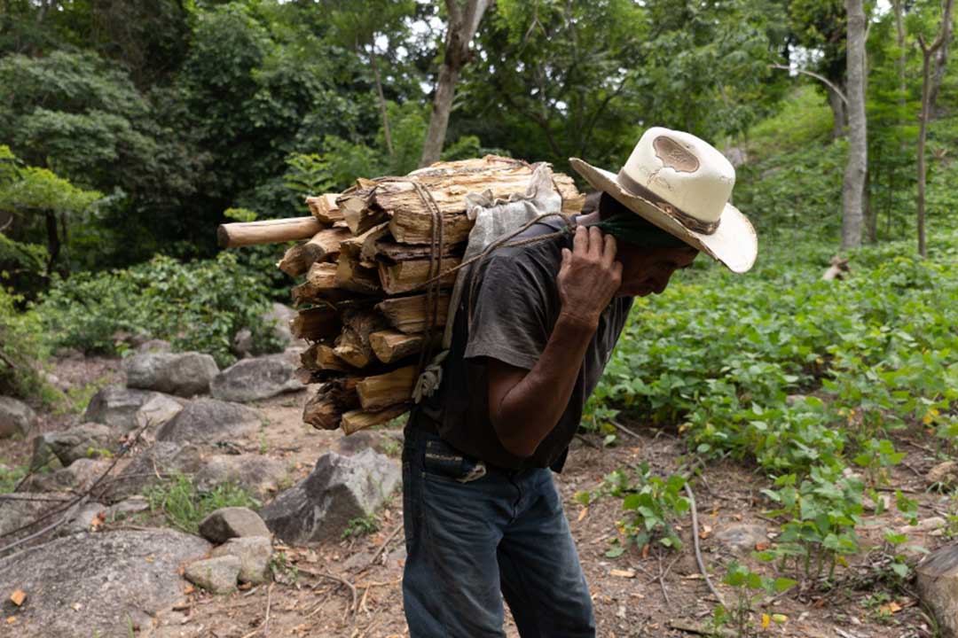 A poor man selling firewood for domestic use in rural Guatemala. Global crises have left UN poverty, hunger and health goals seriously off track. Credit: EU Civil Protection and Humanitarian Aid, (CC BY-NC-ND 2.0)