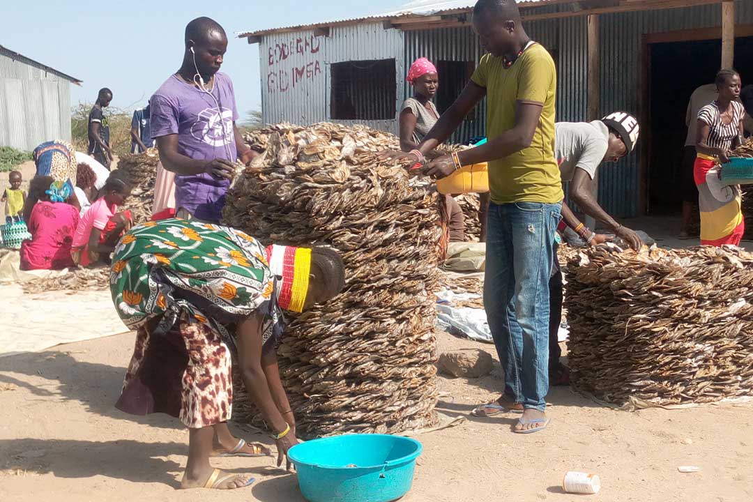 Fishmongers at Kalokol, Turkana. Credit: Abjata Khalif
