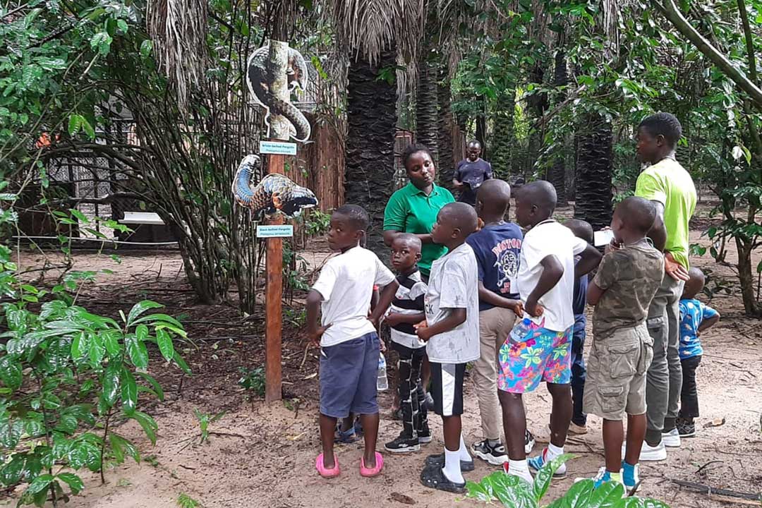Zoonotic awareness at Libassa Wildlife Sanctuary in Liberia. Credit: Libassa Wildlife Sanctuary