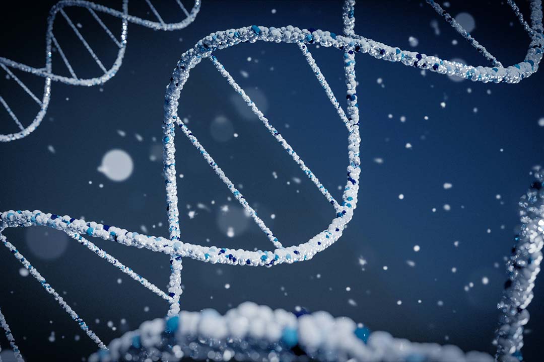Credit: Braňo on Unsplash
