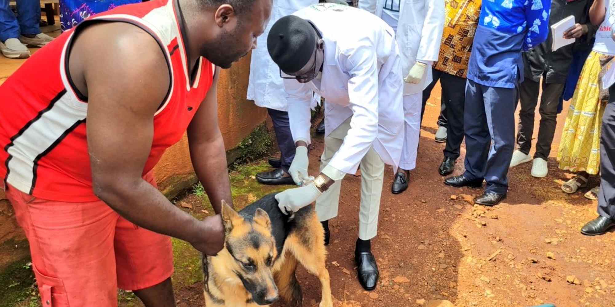 Beaucoup de Camerounais se sont mobilisés lors de la Journée mondiale contre la rage le 28 septembre pour faire vacciner leurs chiens. Crédit : PNPLZER Cameroun
