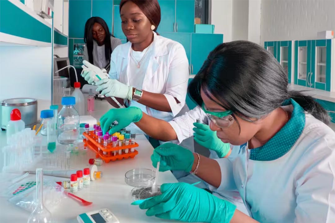 African scientists need a central repository where the genomic data they capture can be uploaded and shared. Credit: iStock/Getty Images Plus