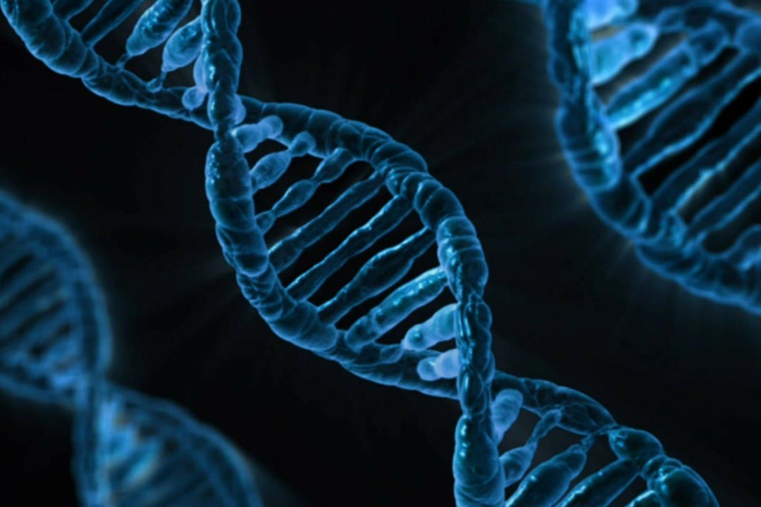 Illustration of DNA. Credit: PublicDomainPictures from Pixabay