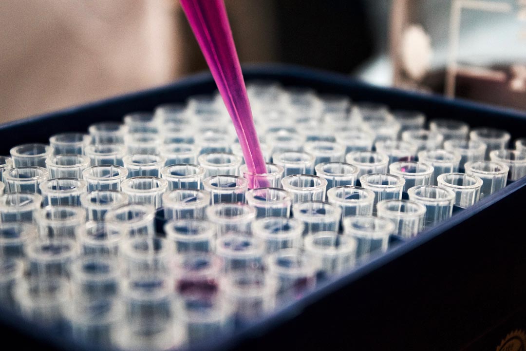 La nouvelle méthode de détection de la poliomyélite pourrait permettre une réponse plus rapide aux vaccins La nouvelle méthode de détection de la poliomyélite pourrait permettre une réponse plus rapide aux vaccins