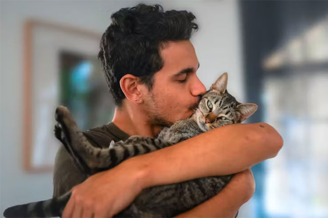 A man kissing a cat. Credit: Shutterstock