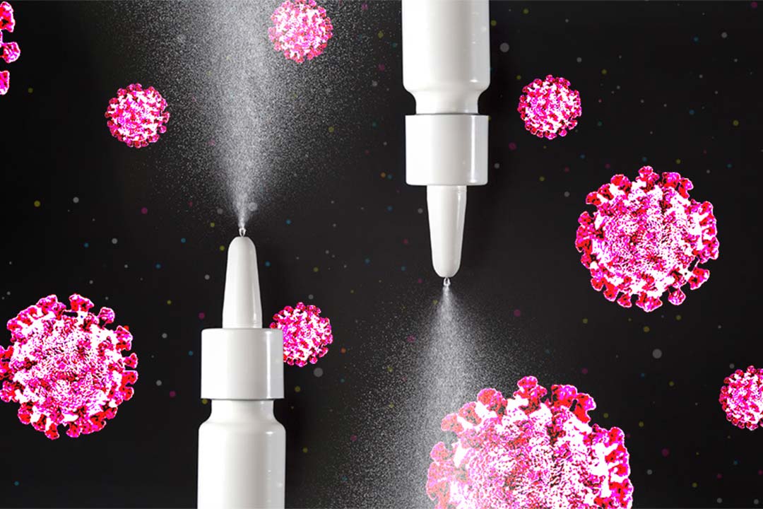 nasal-vaccine-knowable-magazine_h1.jpg nasal-vaccine-knowable-magazine_h1.jpg