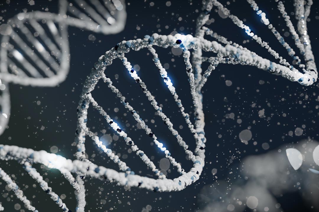 3D rendered DNA strand. Credit: Sangharsh Lohakare on Unsplash