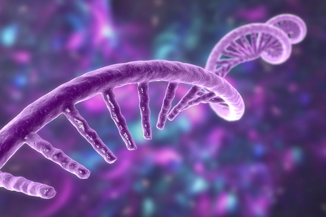 A computer illustration of the molecular model of messenger ribonucleic acid (mRNA).
