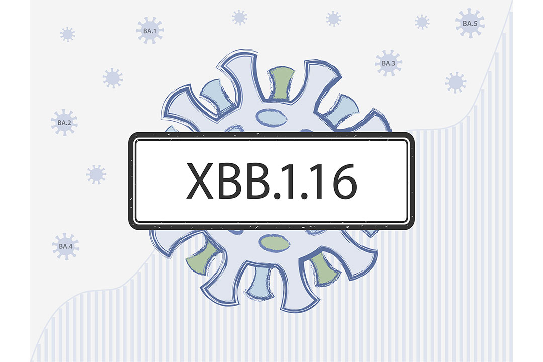 Nouveau sous-variant XBB.1.16 avec, en arrière-plan, des statistiques de cas de COVID-19. Surnom : Arcturus.