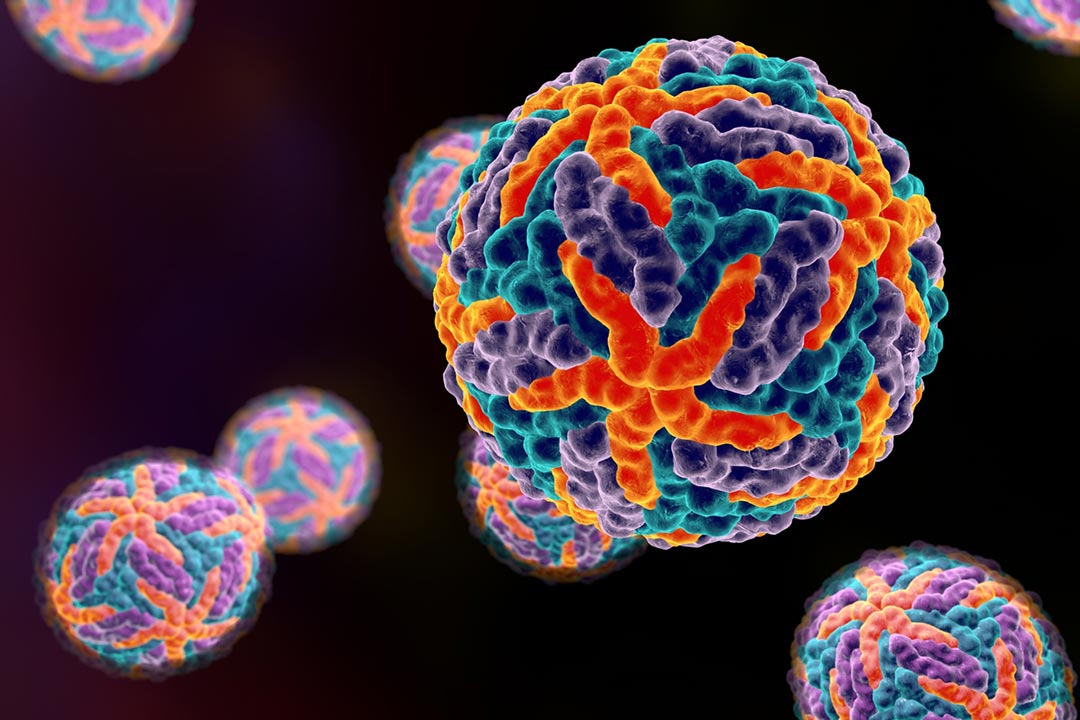 Digital illustration of Dengue virus. A model is built using data of viral macromolecular structure furnished by Protein Data Bank (PDB 3J 27).