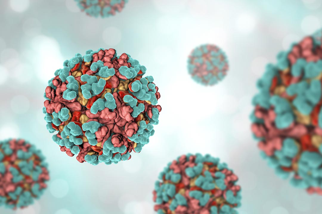 Venezuelan equine encephalitis virus, 3D illustration. An RNA Alphavirus from the Togaviridae family .