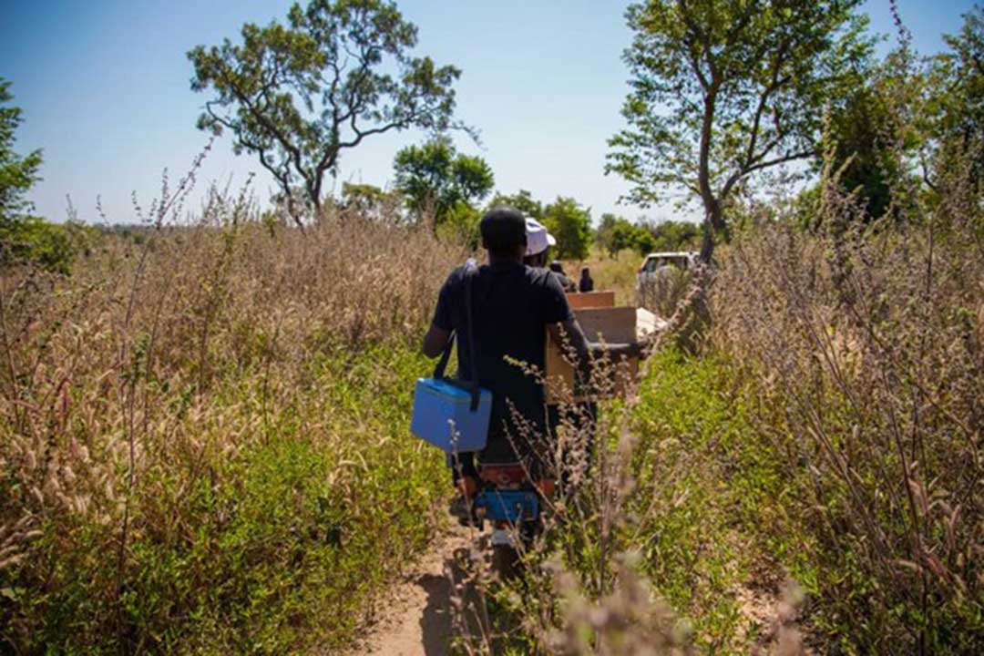 WHO supported vaccination teams going the distance to reach children in hard-to-reach areas with life-saving vaccines in an integrated immunization campaign in Niger State, Nigeria. Credit: WHO/Ogbeide E.