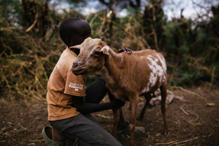 A Kapkuikui boy with his father’s goat. Credit: Kang-Chun Cheng