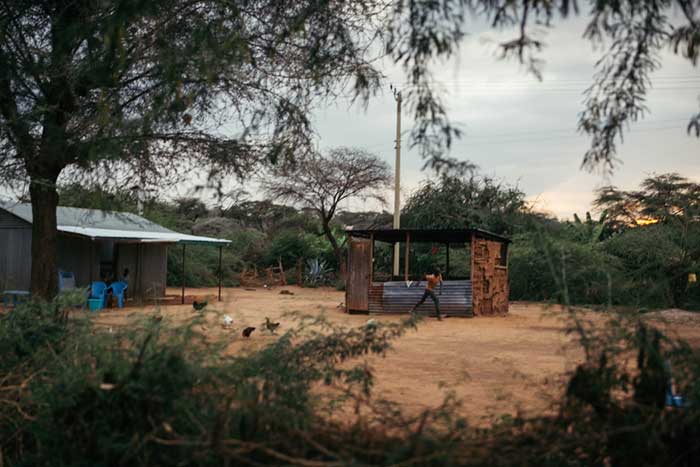 Mathenge offers much-needed shade in the otherwise sun-baked Baringo landscape. Credit: Kang-Chun Cheng