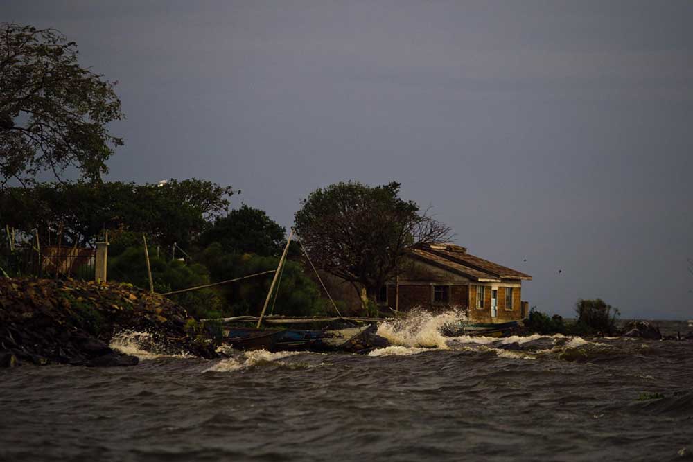 On the shores of Lake Victoria, one of the African Great Lakes, whose moisture and temperate environment create a suitable breeding ground for mosquitoes. Credit: Kang-Chun Cheng