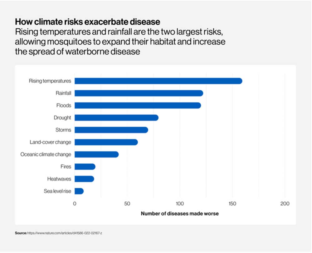 Chart: how climate risks exacerbate disease.
