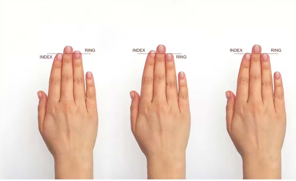 Your finger length can reveal how much testosterone you were exposed to in the womb. Credit: logika600/Shutterstock