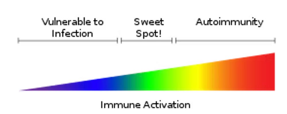 Too much or too little immune activation can lead to illness. Kevbonham/Wikimedia Commons, CC BY-SA