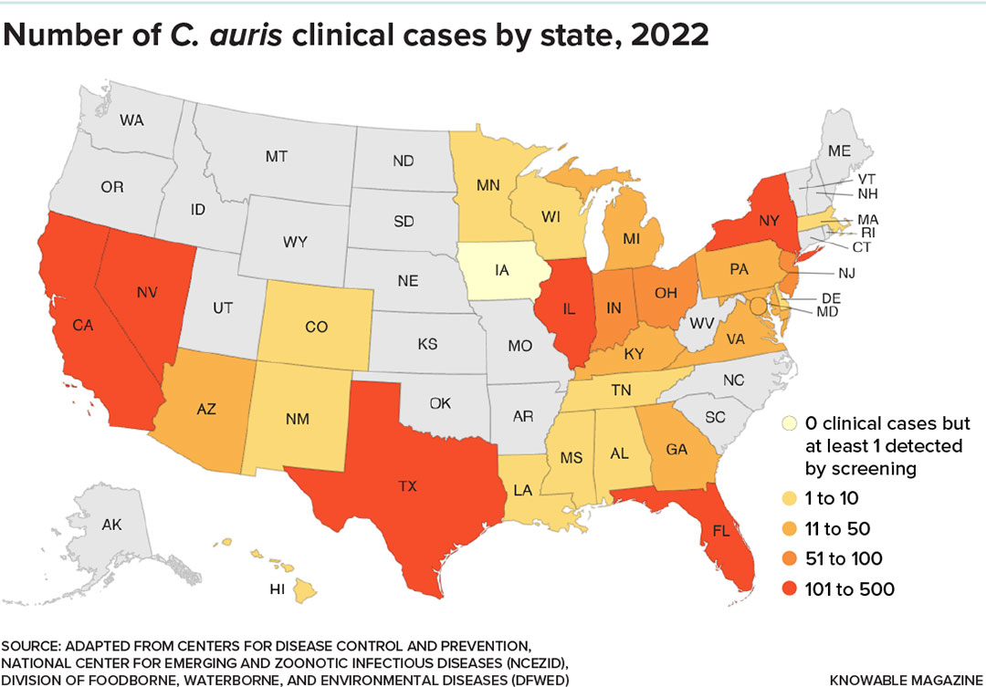 The fungus that causes Valley fever needs relatively warm, dry conditions to thrive. Today, those conditions are mostly restricted to the southwestern US — but as the climate changes, scientists predict that suitable conditions will become much more widespread, allowing the disease to spread across nearly the entire western US.