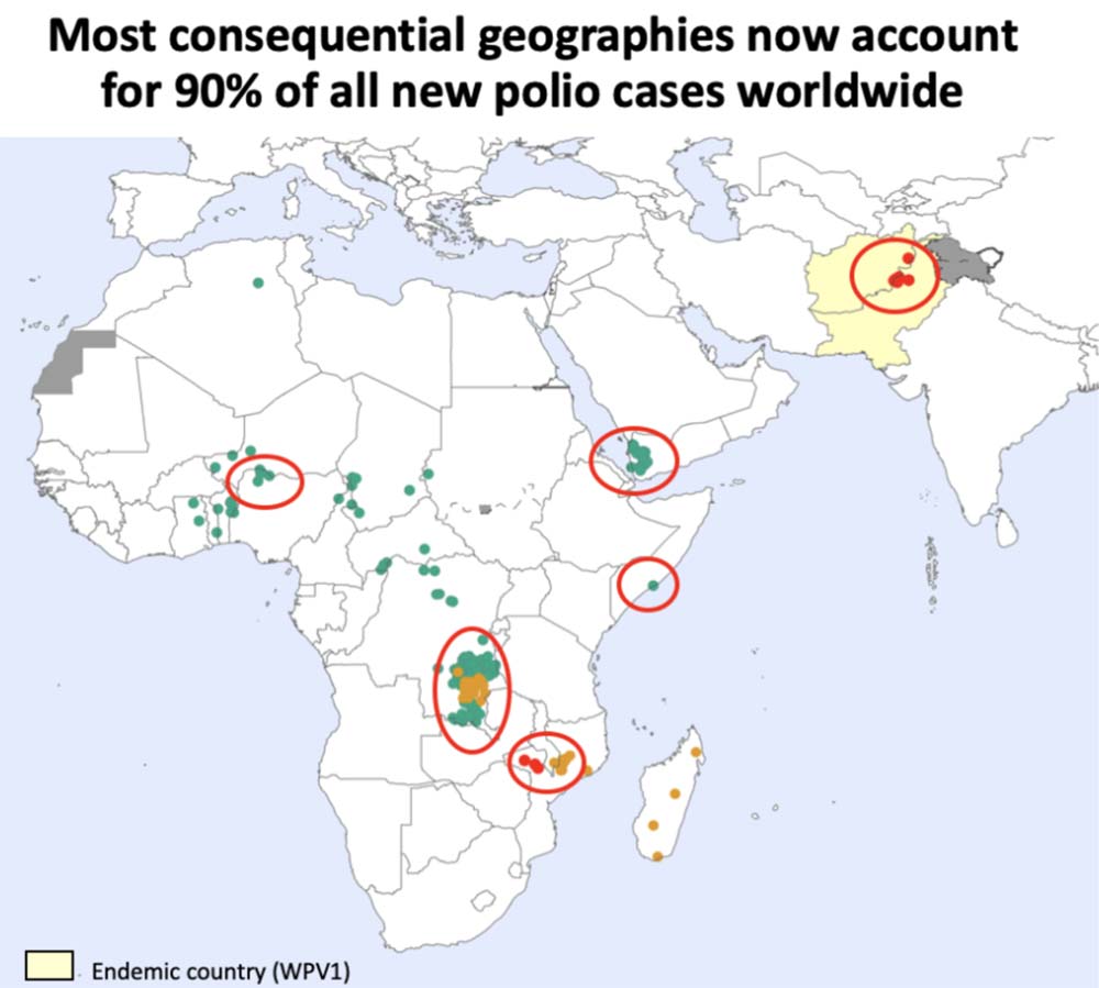 Map of polio cases worldwide