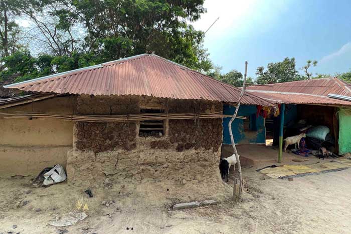 A house in the remote village where Pahan lives. The cracks of mud houses like this provide damp and dark conditions needed for flies infected with the parasite that causes kala-azar to thrive.