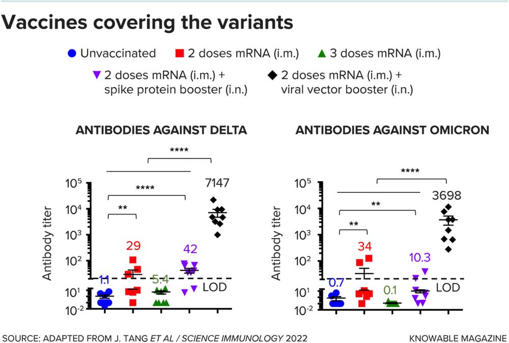 Vaccines covering the variants. Credit: Knowable magazine