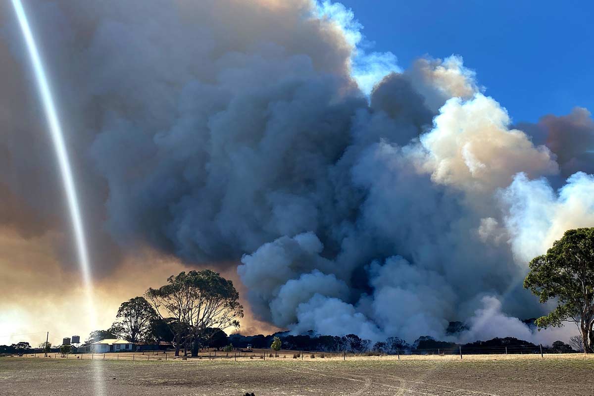 A wildfire on Kangaroo Island, South Australia, Jan. 2020. Australia’s infamous ‘Black Summer’ in 2019-20 was the worst fire season in Australia’s history, with over 24 million hectares (60 million acres) burned. Smoke from the fires was associated with 429 premature deaths, according to a 2021 Nature Sustainability study. Image by New Matilda from Brisbane Australia via Wikimedia Commons (CC BY 2.0).