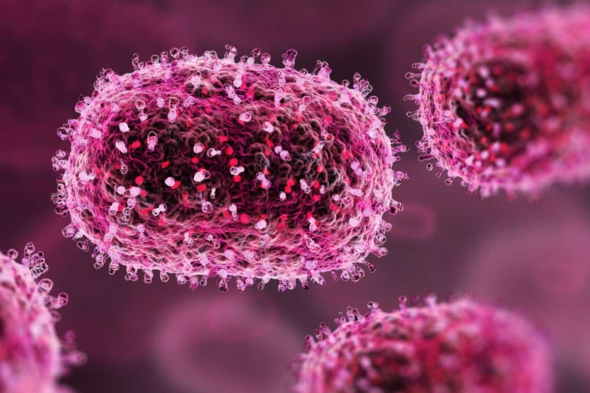 Close-up of a cell.