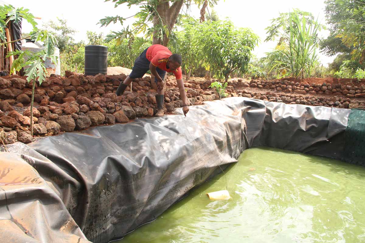 Abdub Jarso fetches water from a water pan to irrigate his farm. Credit: James Karuga