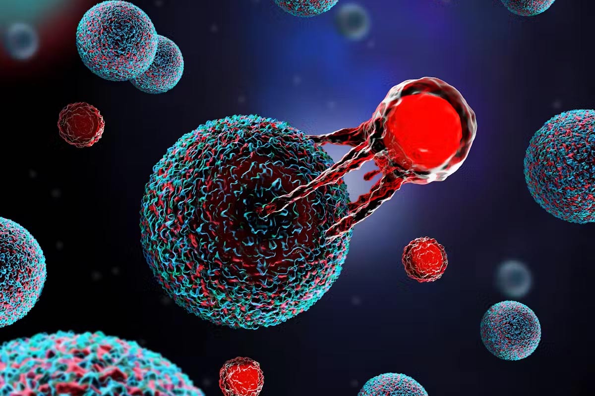 It’s theorised that immune cells may mistakenly attack parts of the brain and central nervous system. Meletios Verras/ Shutterstock