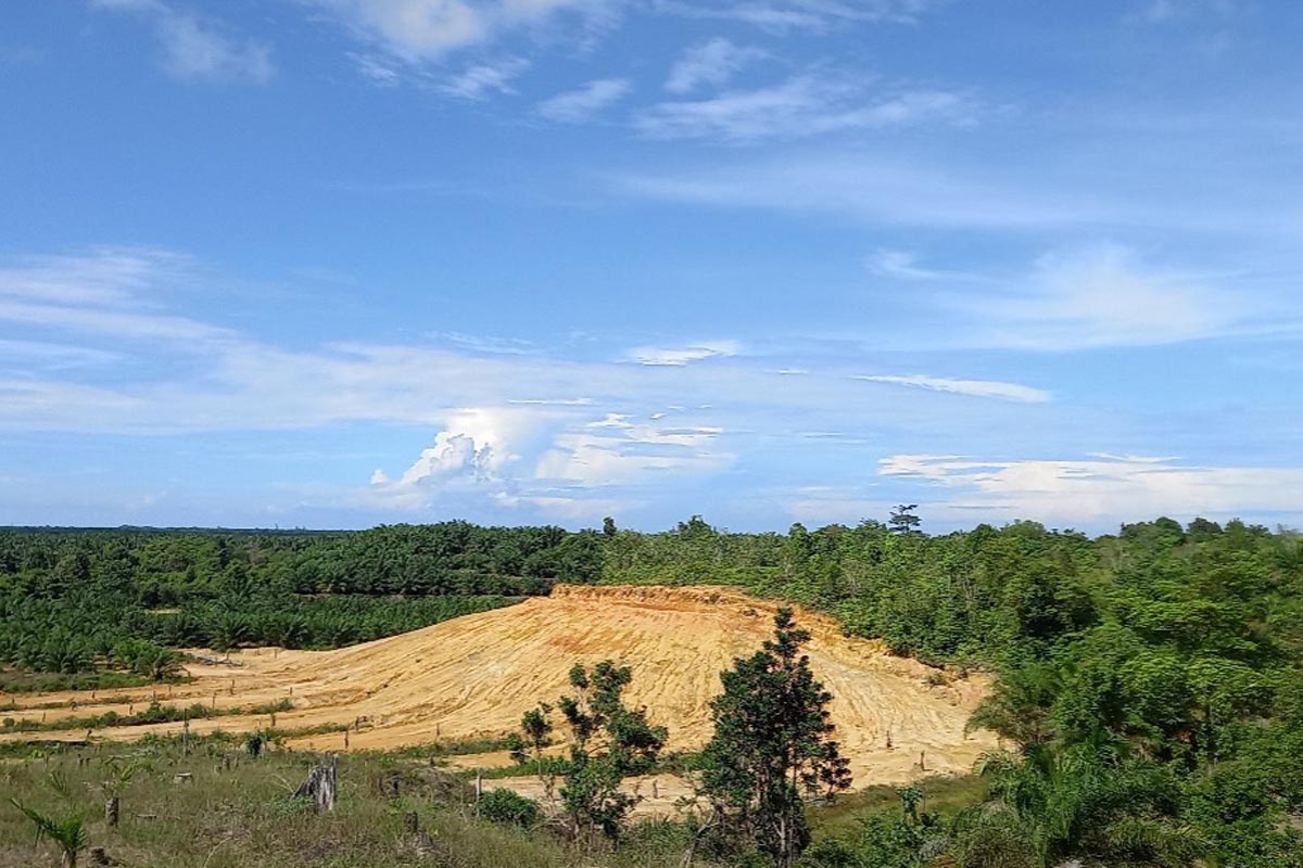 Rapid landscape and land use change may trigger zoonotic diseases. An example from North Sumatra, Indonesia. Credit: ZOOMAL project