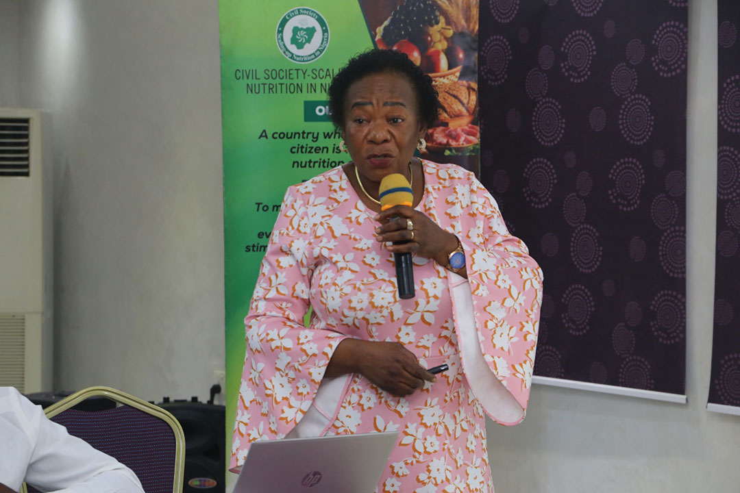 Chito Nelson, former head of the Food and Nutrition Division at the Federal Ministry of Budget and Economic Planning. Credit: Royal Ibeh
