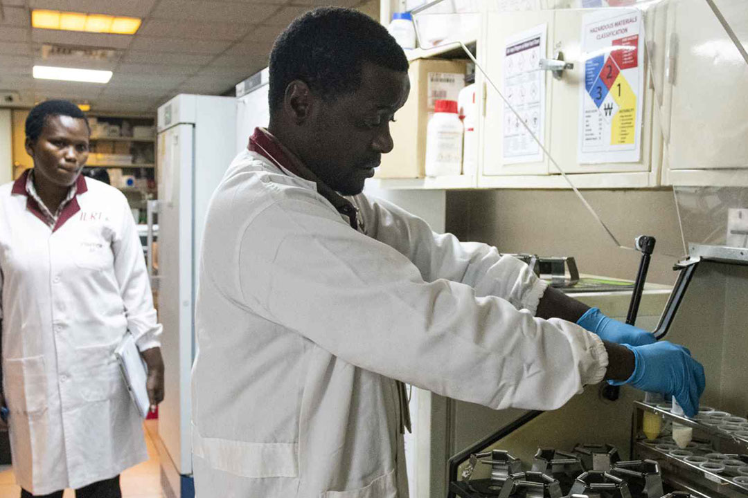 Fredric Nganga places the samples in a shaker, under the watchful eyes of Dr Florence Mutua. Credit: Claudia Lacave/Hans Lucas