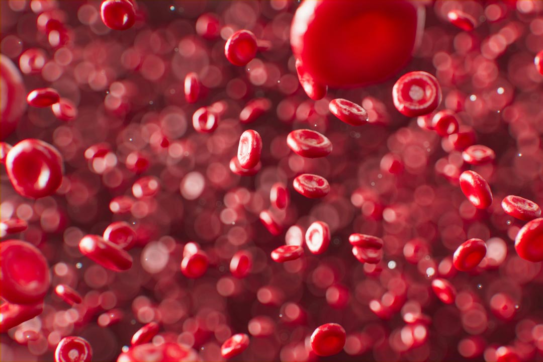 Rendered image of blood cells. Credit: ANIRUDH on Unsplash