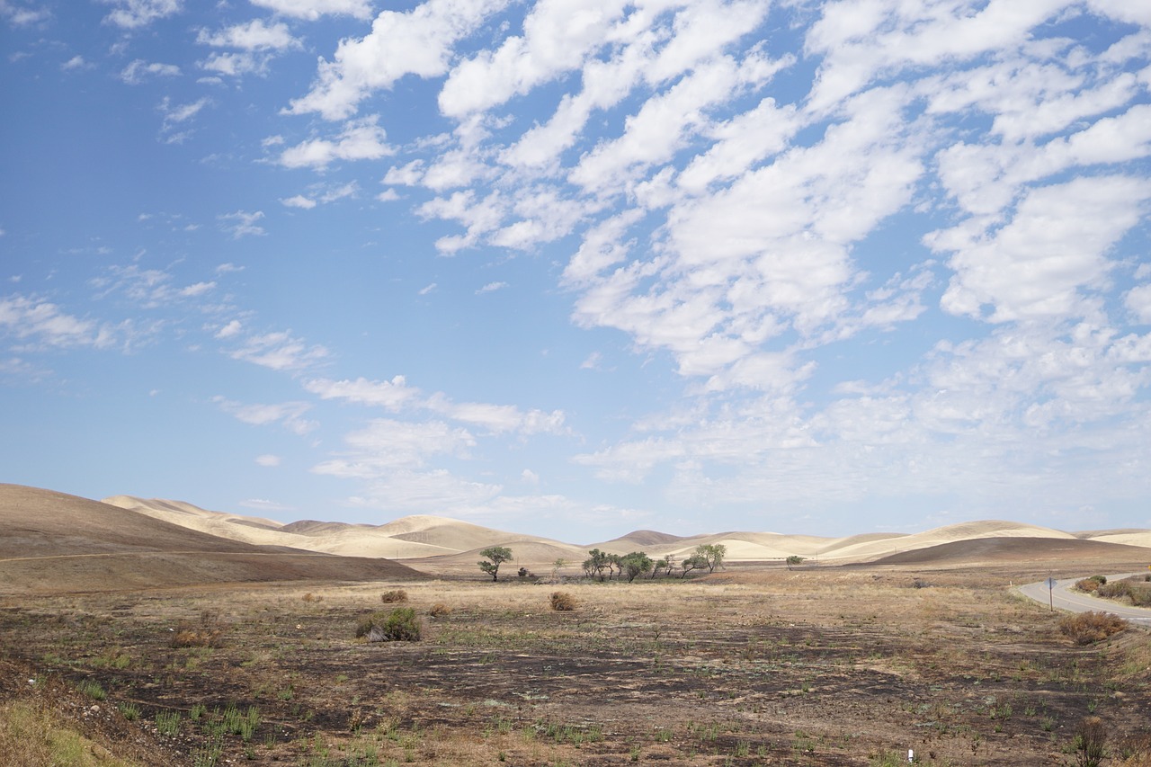 Having worked in communities responding to the impacts of droughts and climate shocks, Dr Sakib Burza says improved planetary health is crucial for better human health. carelbron0 from Pixabay