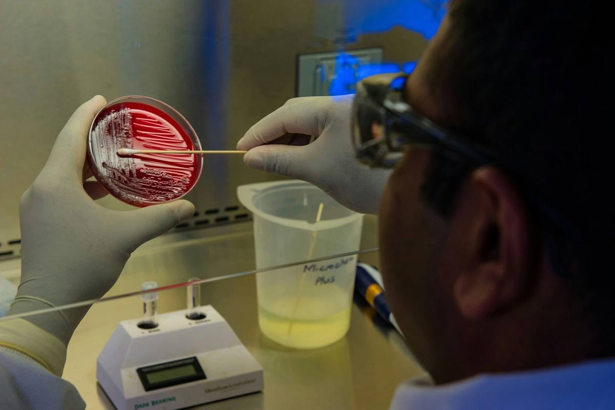 Antimicrobial resistance kills over a million people a year. Image: Unsplash/CDC