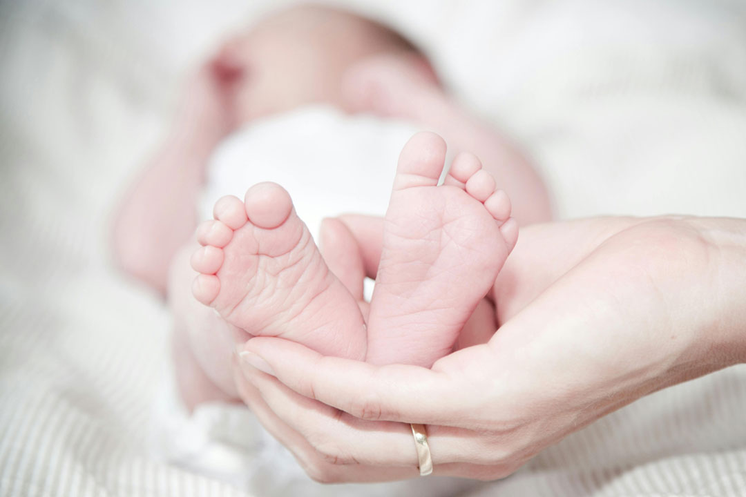 出生时抗体水平高的新生儿在出生前六个月对 COVID-19 感染也有更大的保护。图片来源：Rene Asmussen 在 Pexels 上
