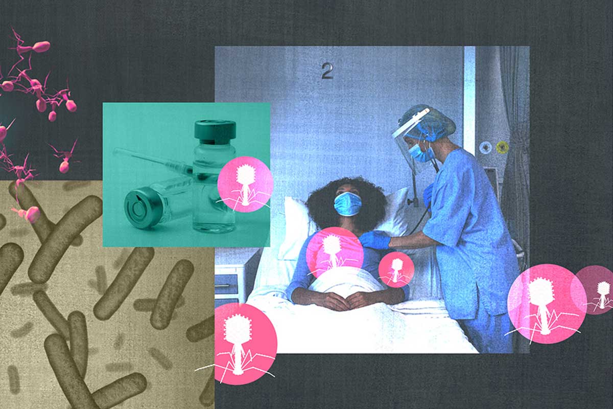 Antibiotic resistance is a serious problem, especially in hospitals. Could an old, disused therapy involving viruses offer a way to counter it? CREDIT: KNOWABLE MAGAZINE