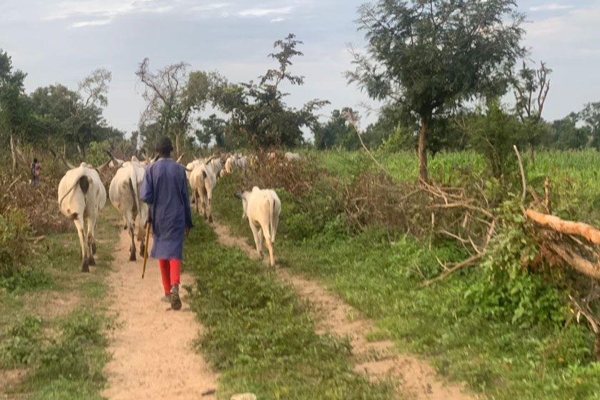 Abdullahi, who doesn't want his face captured, was four when he got his first vaccine in 2019, thanks to the deployment of health workers to nomadic camps where his family resides. Credit: Jesusegun Alagbe