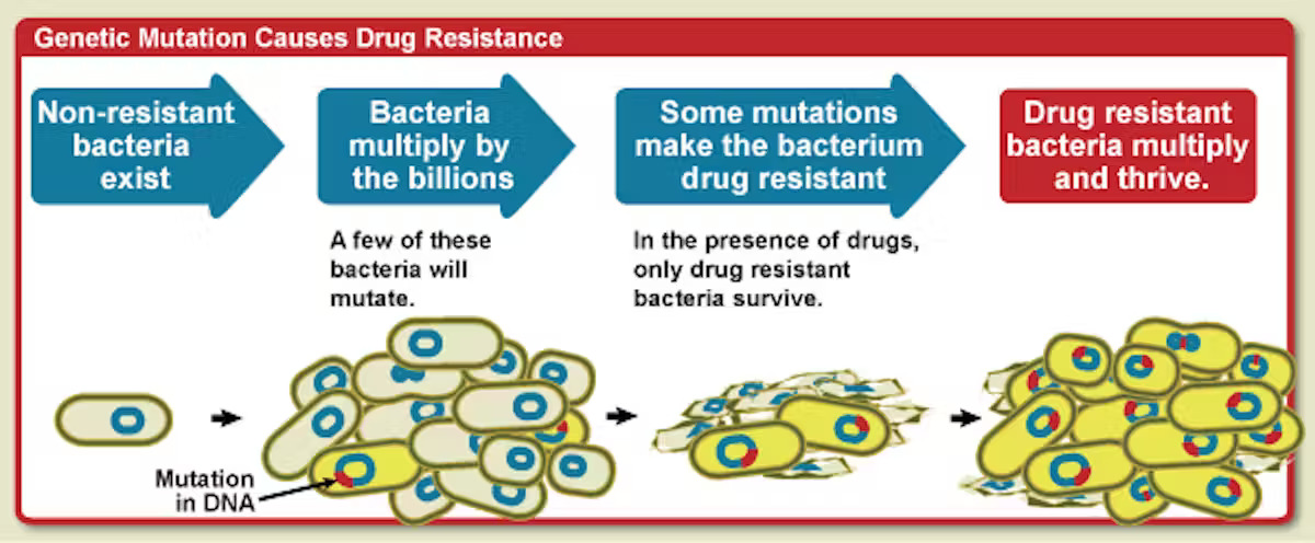 Every time we use antibiotics, we give bacteria a chance to adapt. (NIAID), CC BY