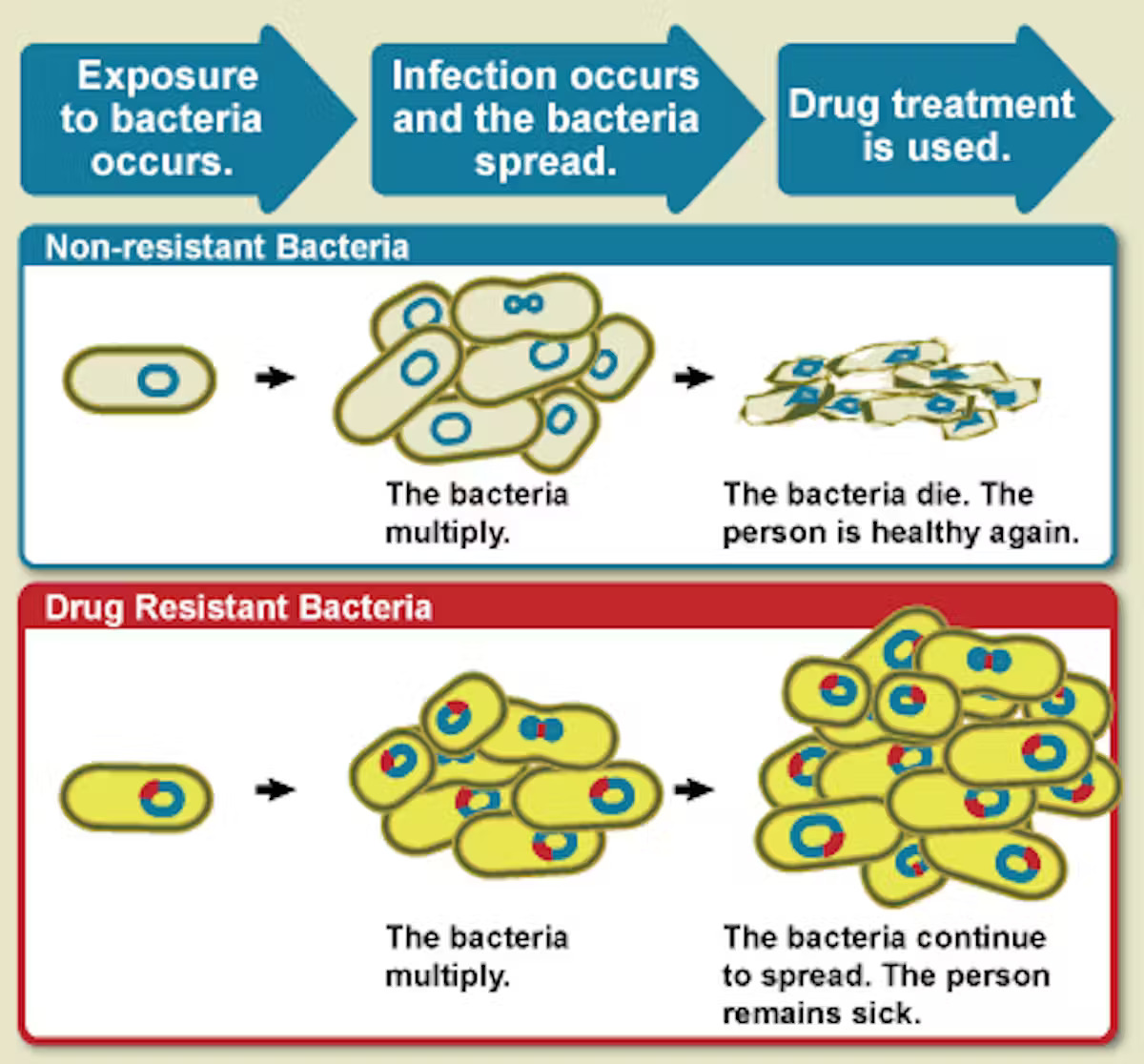 Antibiotic resistance means that treatments that used to work no longer do. (NIAID), CC BY