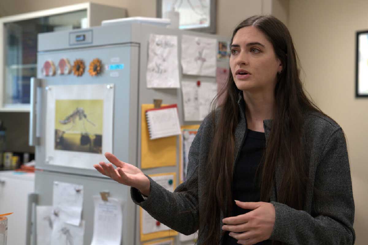 Hannah Livesay, biologist at the Grand River Mosquito Control District, at her lab in Grand Junction. Visual: Isabella Escobedo / Inside Climate News