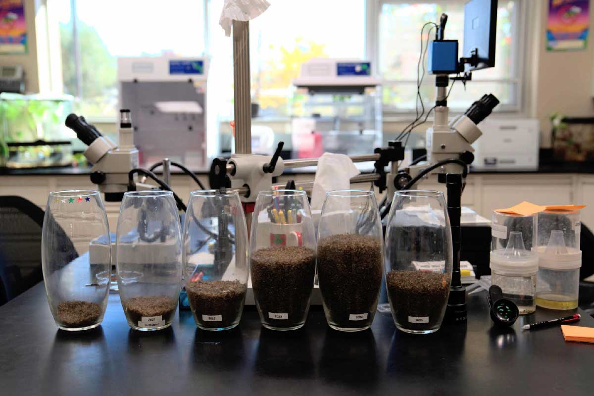 Containers, labeled by year, display the mosquitoes caught by the Grand River Mosquito Control District. Visual: Isabella Escobedo / Inside Climate News