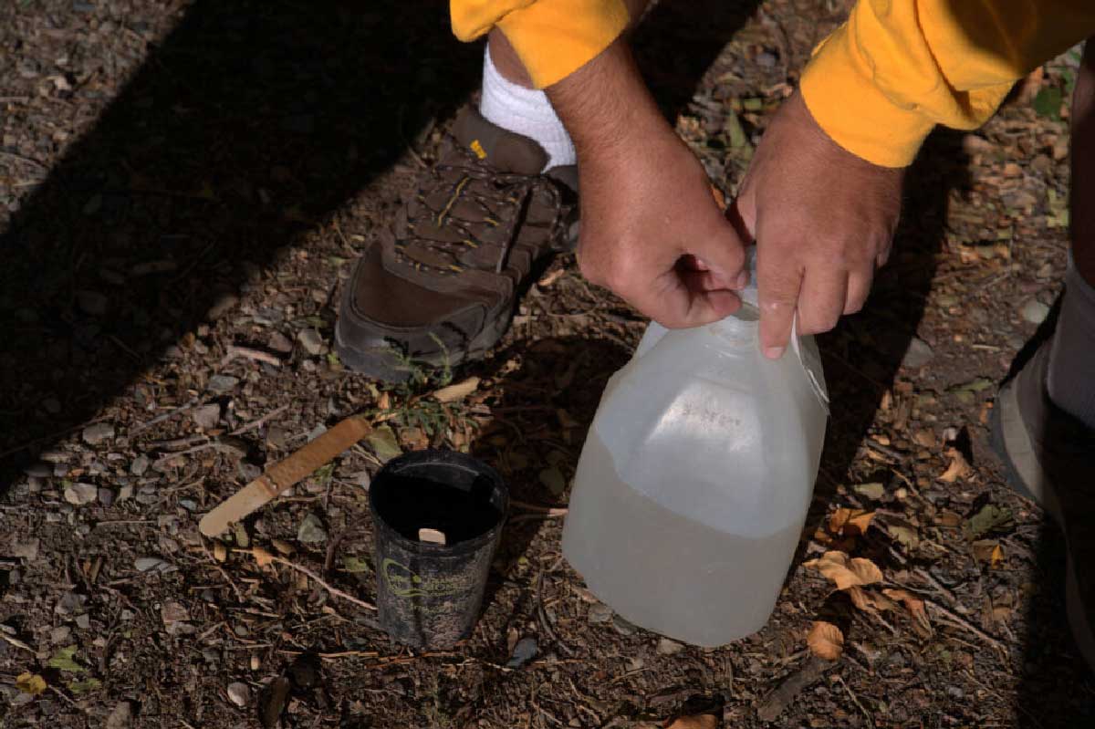 David Garrett, team lead for the Grand River Mosquito Control District’s Aedes aegypti program, traps mosquitoes in the Orchard Mesa neighborhood of Grand Junction, Colorado. Visual: Isabella Escobedo / Inside Climate News