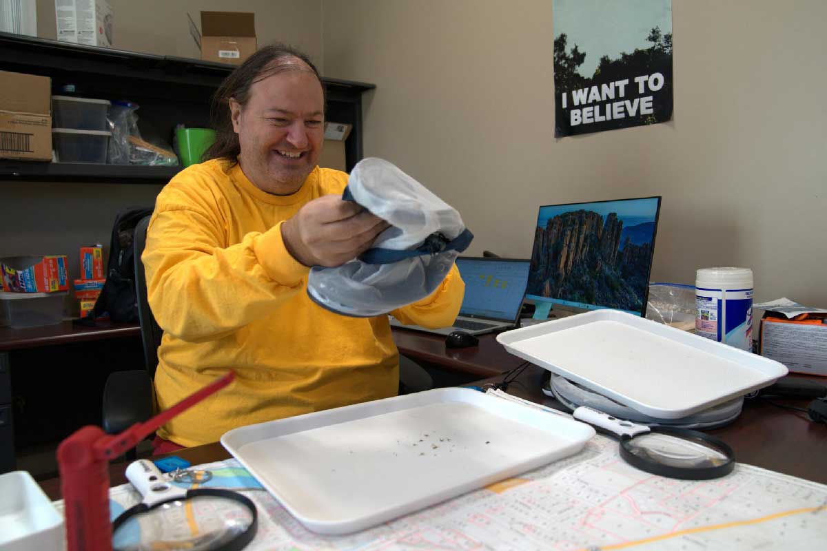 David Garrett empties a mosquito trap in his Grand Junction office to count how many invasive mosquitoes were caught. Visual: Isabella Escobedo / Inside Climate News